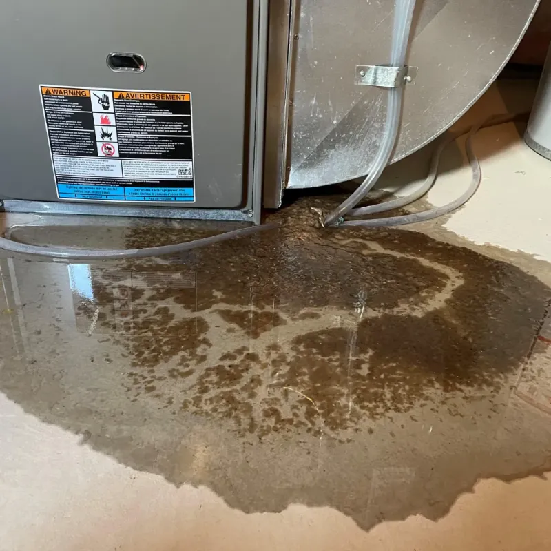 Appliance Leak Cleanup in South Rosemary, NC